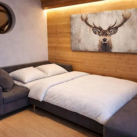 Apartment Aux Pieds, Paradiski, 4 6p Confort