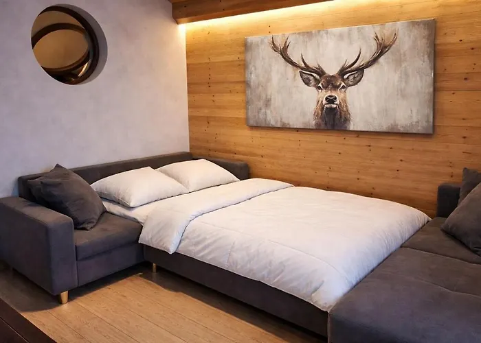 Apartment Aux Pieds, Paradiski, 4 6p Confort